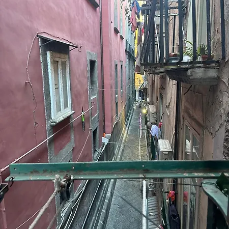House Vincenzo Palma Apartment Naples