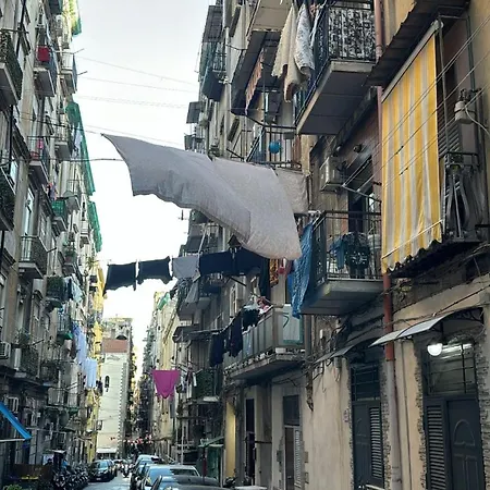 House Vincenzo Palma