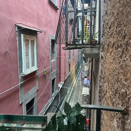 House Vincenzo Palma Nápoles