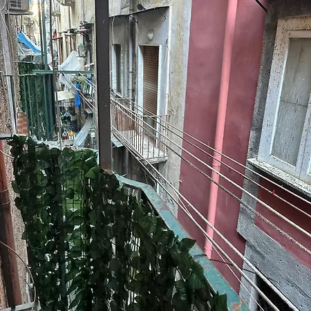 House Vincenzo Palma Naples